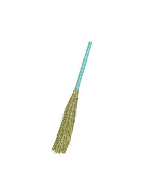 Spotzero Shubhra Premium Grass Broom