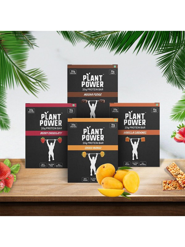 Plant Power 20 gm Protein Bars Variety Pack (4 Flavours x 6 Bars of 72g)