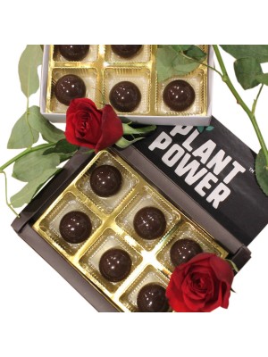 Plant Power Premium Dark Chocolate Truffles 208 gm (2 Plain Dark + 2 Almond)