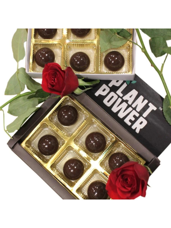 Plant Power Premium Dark Chocolate Truffles 52 gm