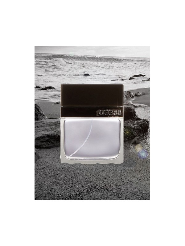 Guess Seductive Homme Eau De Toilette For Men 100 ml