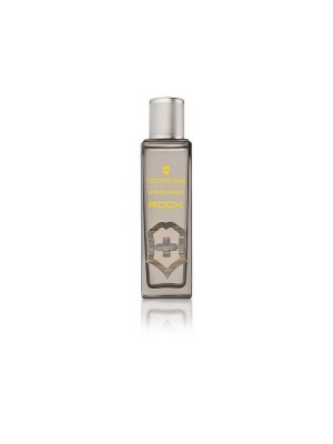 Swiss Army Sa Rock Eau De Toilette For Men 100 ml