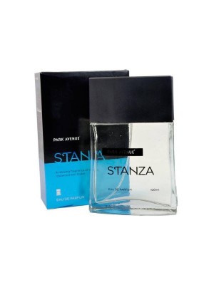 Park Avenue Eau-De-Perfume Stanza - 100 ml (For Men)