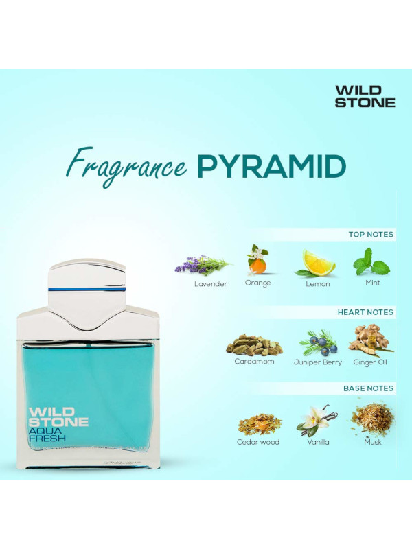 Wild Stone Aqua Fresh Eau De Perfume For Men 100 ml