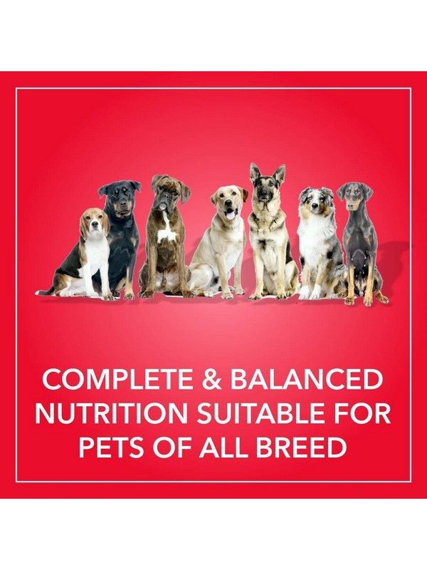 Purepet Meat And Rice Dog Adult, 10 kg