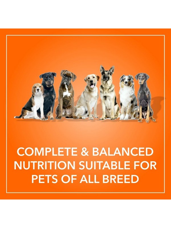 Purepet Fish And Rice Dog Adult, 10 kg