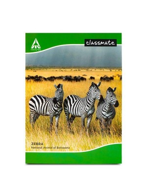 Classmate Small Notebook - Page of 172 (Pack of 6)