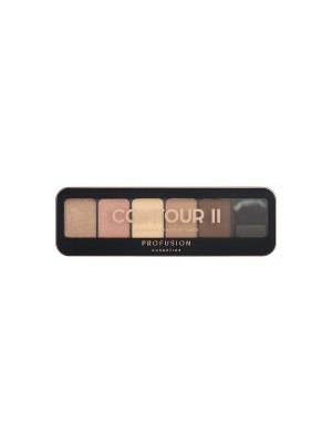 Profusion Cosmetics Pro Makeup Case Countour